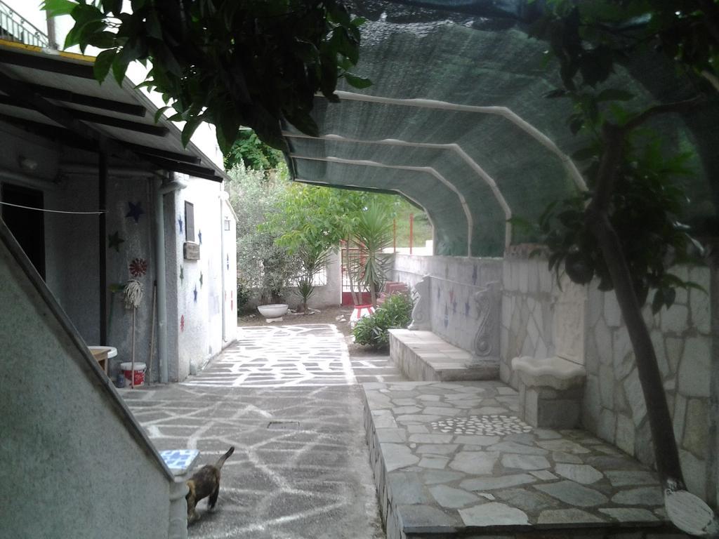 Theoxenia Apartment Pteleos Exterior photo